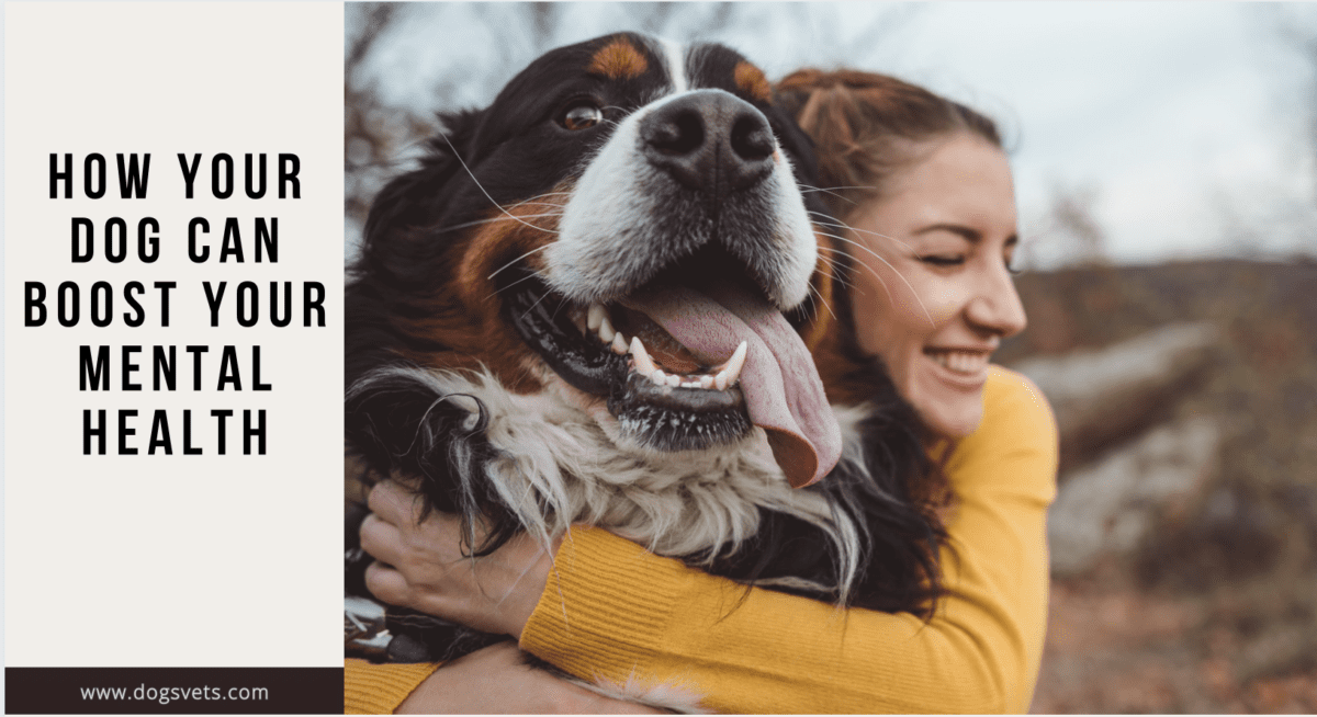 Unleashing Happiness: How Your Dog Can Boost Your Mental Health